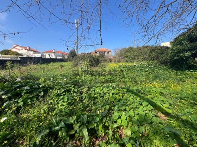 Terreno venda em Ovar, Aveiro