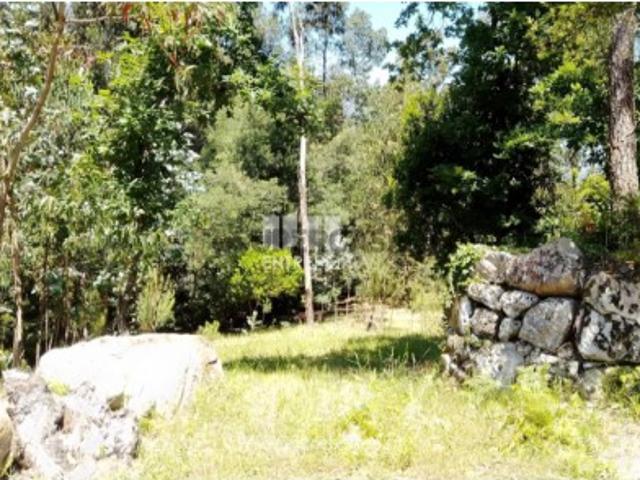 Terreno venda em Espadanedo, Viseu