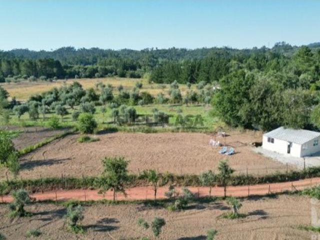 Terreno venda em Penela, Coimbra