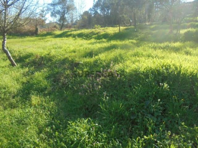Terreno venda em Águeda