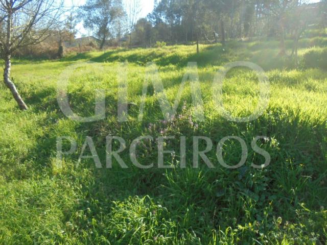 Terreno venda em Quinta do Morangal, Águeda