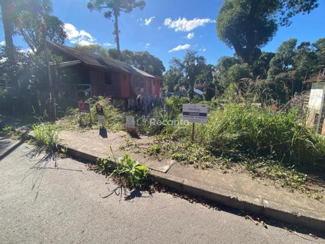 Terreno venda em Canela