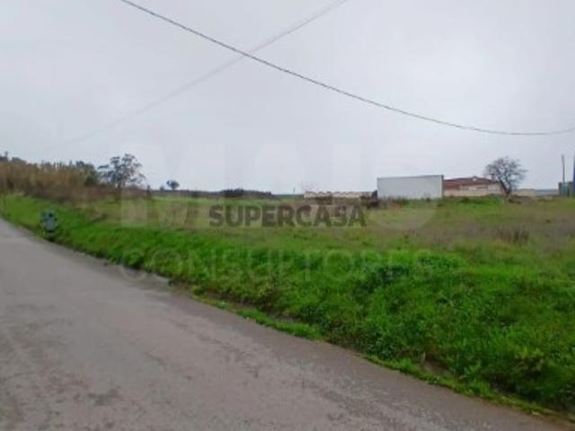 Terreno venda em Cruz das Mós, Alcobaça