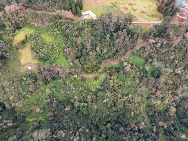 Terreno venda em Santana, Ilha Da Madeira