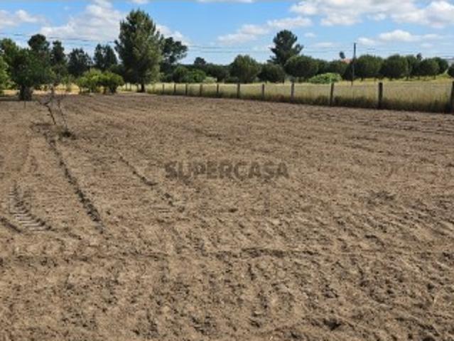 Terreno venda em Coruche, Santarém