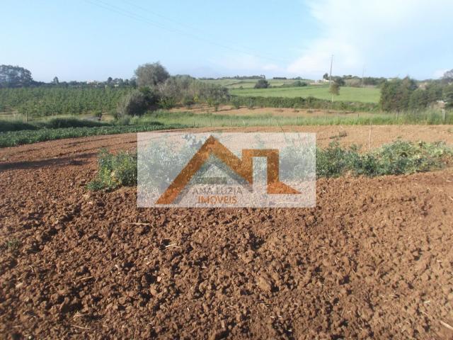 Terreno venda em Pederneira, Famalicão