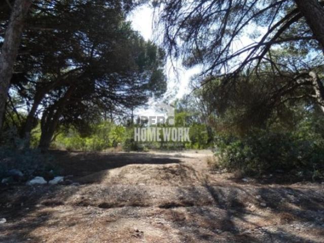 Terreno venda em Serrado, Almada