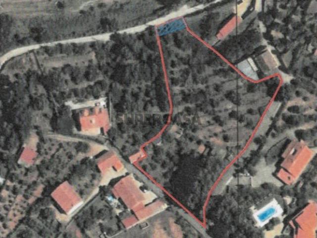 Terreno venda em Castelo Branco, Aldeia Nova Do Cabo