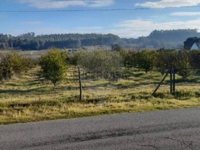 Terreno venda em Almeirim, Santarém