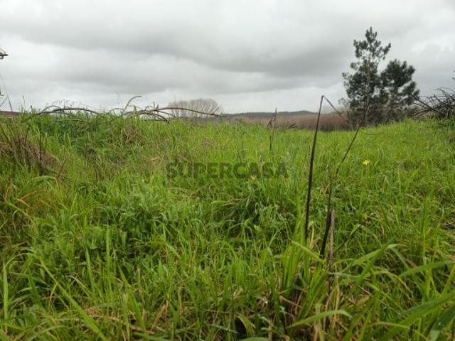 Terreno venda em Fermentelos, Águeda