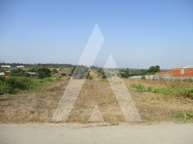 Terreno venda em Fermentelos, Águeda