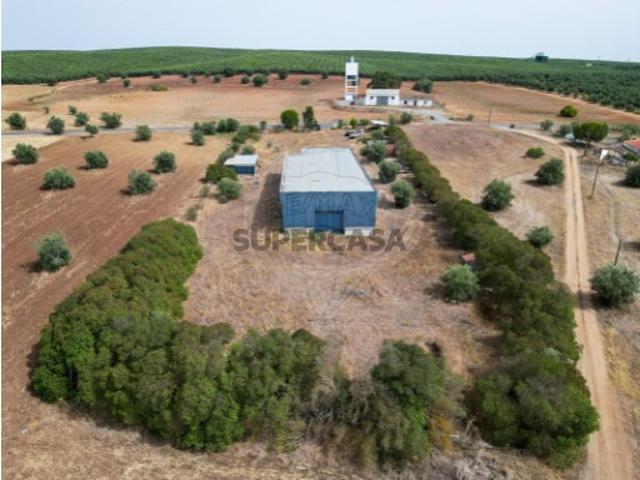 Terreno venda em Gasparões, Ferreira Do Alentejo