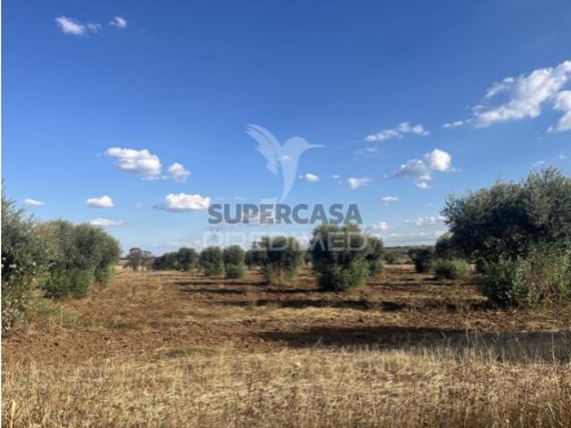 Terreno venda em Ferreira Do Alentejo, Beja