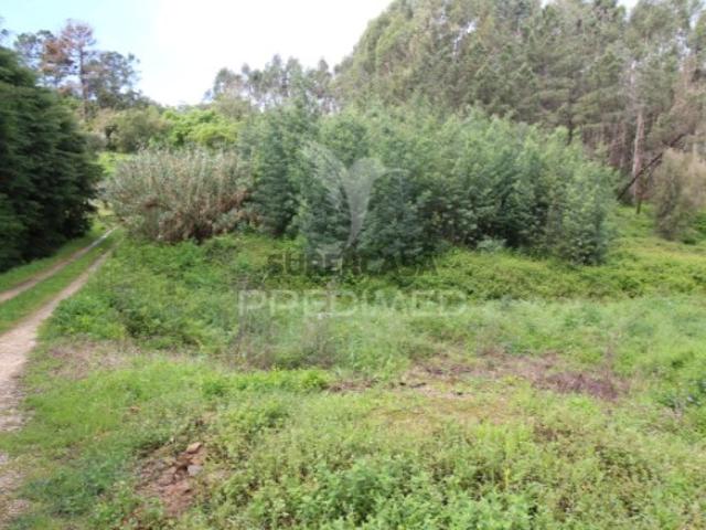 Terreno venda em Rego Da Murta, Santarém