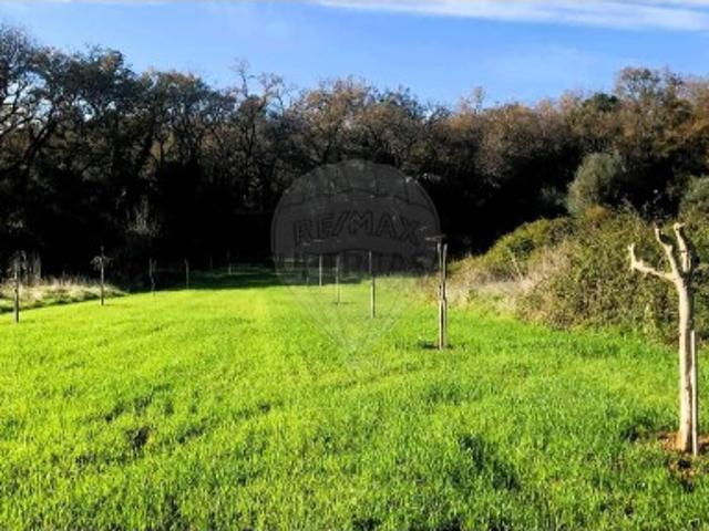 Terreno venda em Tomar, Santarém