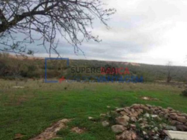 Terreno venda em Albufeira, Faro