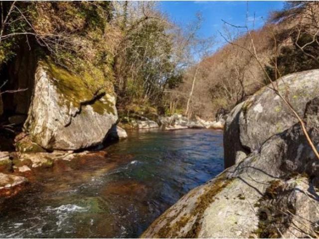 Terreno venda em Ruivais, Ferreiros De Tendais