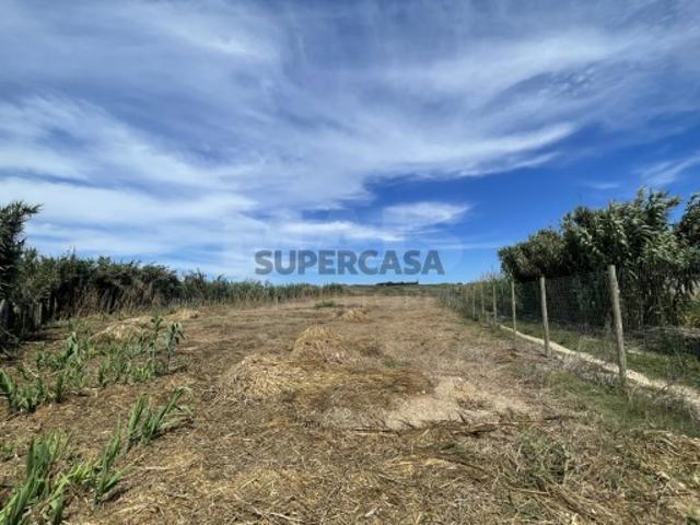 Terreno venda em Baleal, Peniche