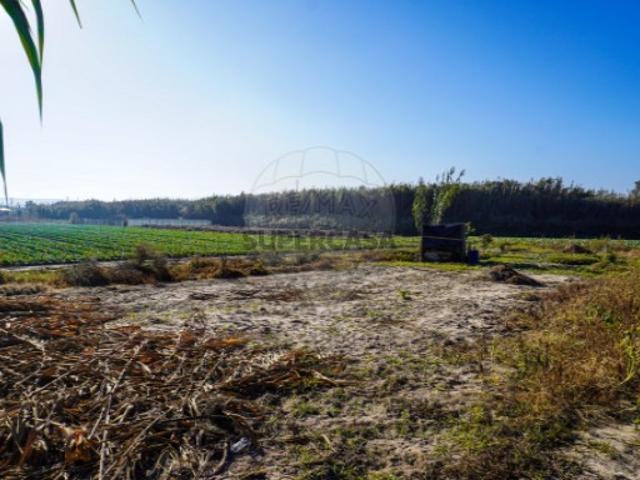 Terreno venda em Peniche, Leiria