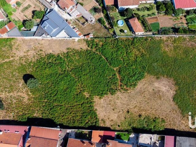 Terreno venda em Santa Maria Da Feira, Aveiro