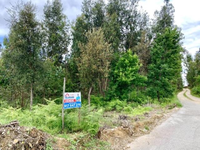 Terreno venda em Figueiró Dos Vinhos, Leiria