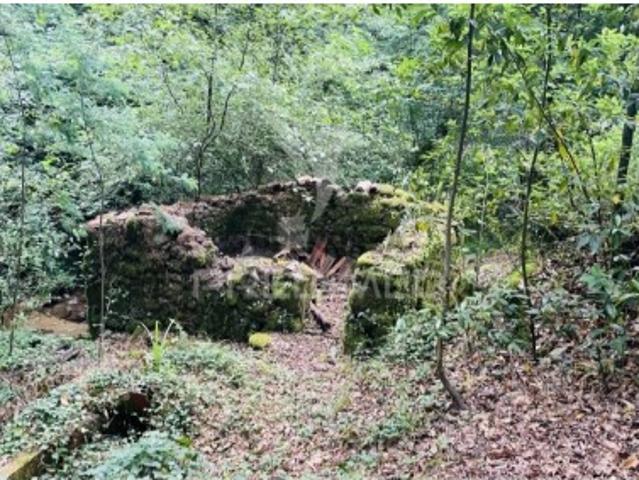 Terreno venda em Casal de Santarém, Figueiró Dos Vinhos