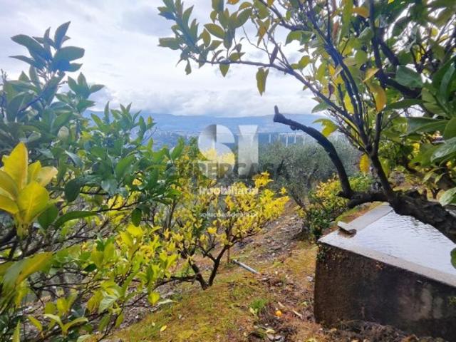Terreno venda em Vila Real
