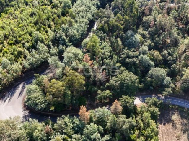 Terreno venda em Arganil, Folques