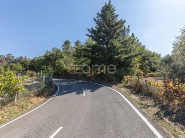 Terreno venda em Arganil, Folques