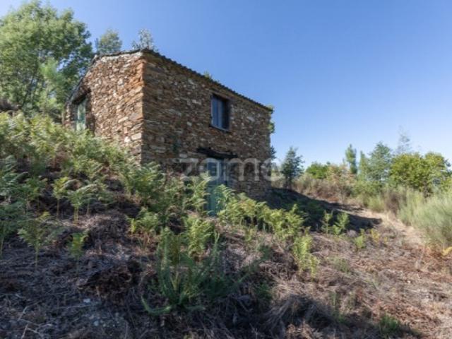 Terreno venda em Arganil, Folques