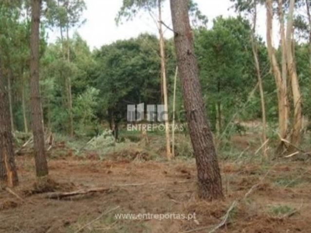 Terreno venda em Esposende, Braga