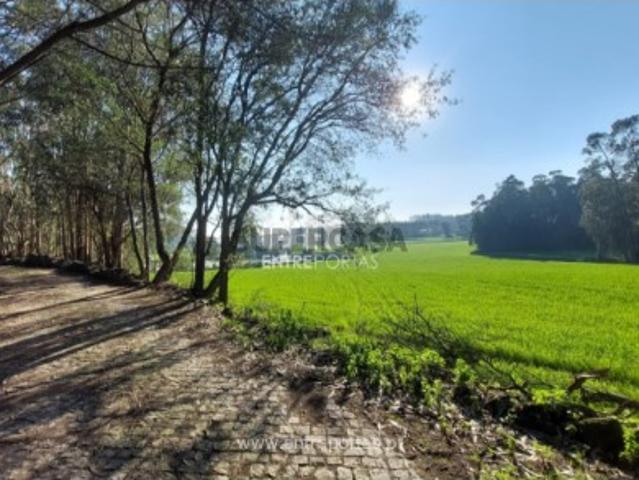 Terreno venda em Vila Do Conde, Porto