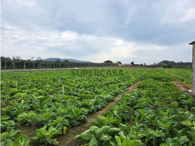 Terreno venda em Fornelos, Arcozelo