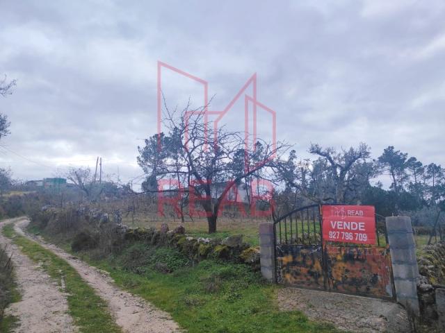 Terreno venda em Guarda, Aguiar Da Beira
