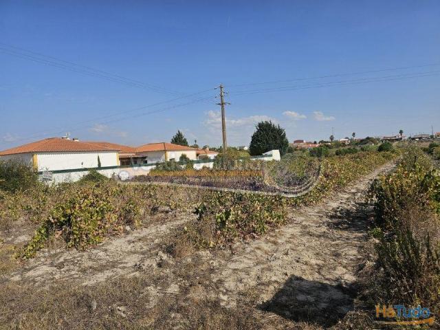 Terreno venda em Benavente, Santarém