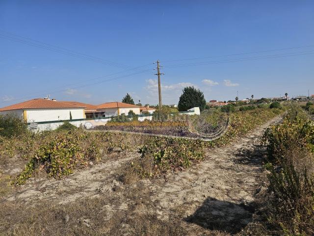 Terreno venda em Santo Estêvão, Benavente