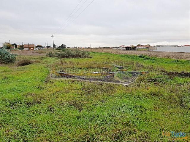 Terreno venda em Salvaterra De Magos, Santarém