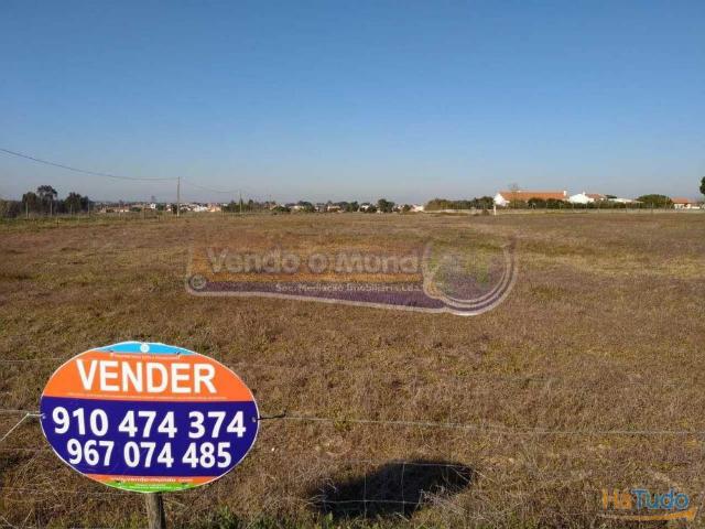 Terreno venda em Salvaterra De Magos, Santarém