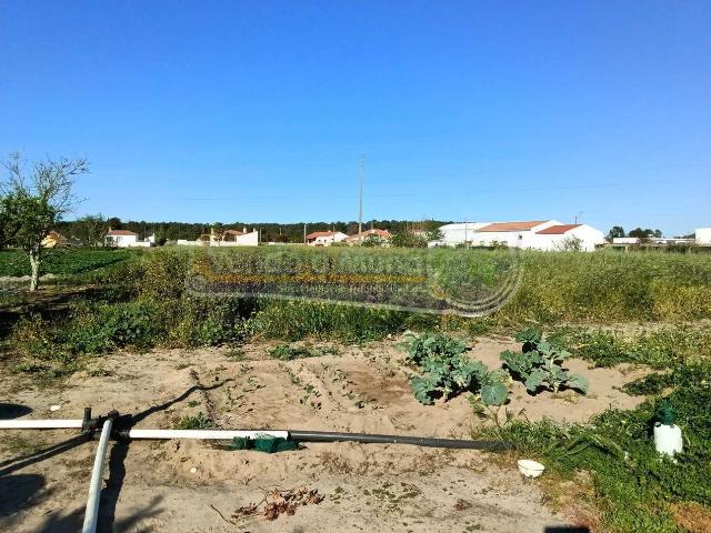 Terreno venda em Salvaterra De Magos, Santarém