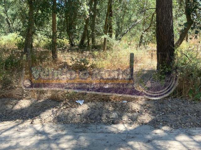 Terreno venda em Salvaterra De Magos, Santarém