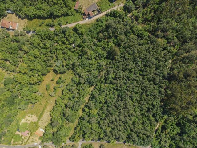 Terreno venda em Lousã, Coimbra