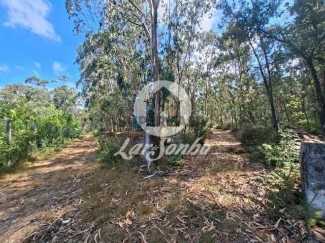 Terreno venda em Fradelos, Gavião