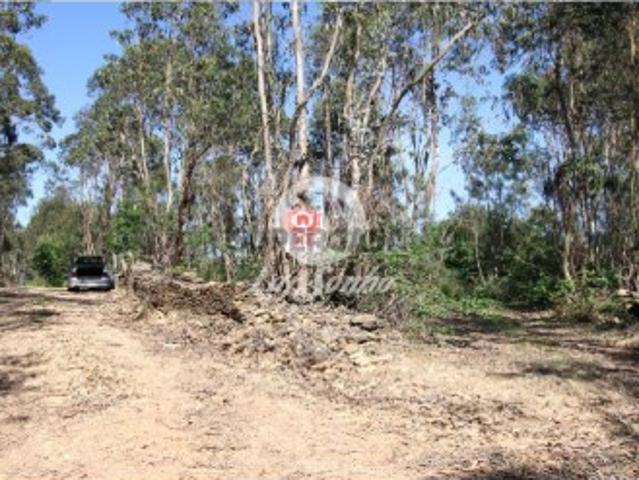 Terreno venda em Fradelos, Gavião