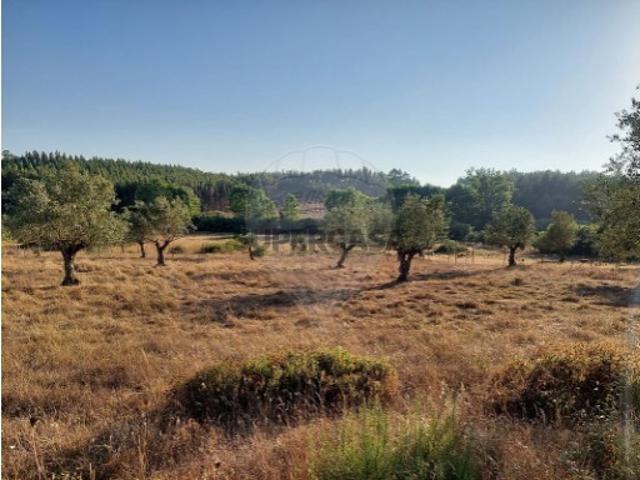 Terreno venda em Rio Maior, Santarém