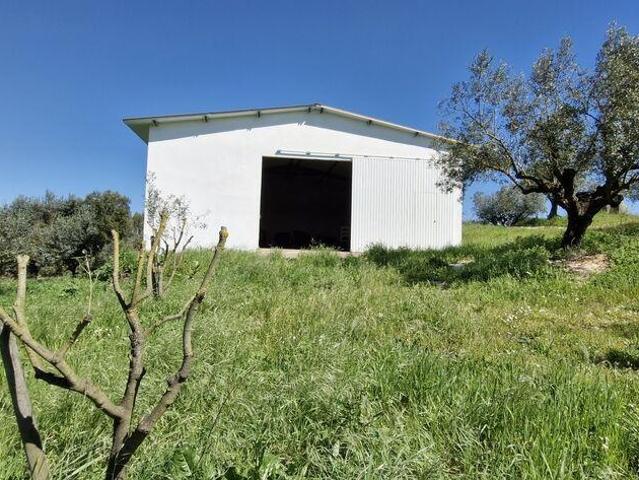 Terreno venda em Rio Maior, Santarém