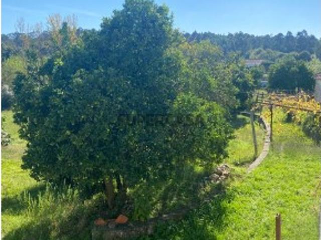 Terreno venda em Vila Maior, Santa Maria Da Feira