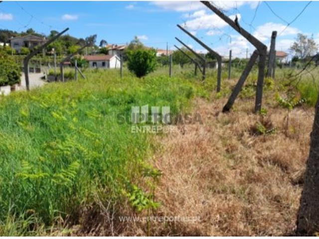 Terreno venda em Macieiras, Amarante