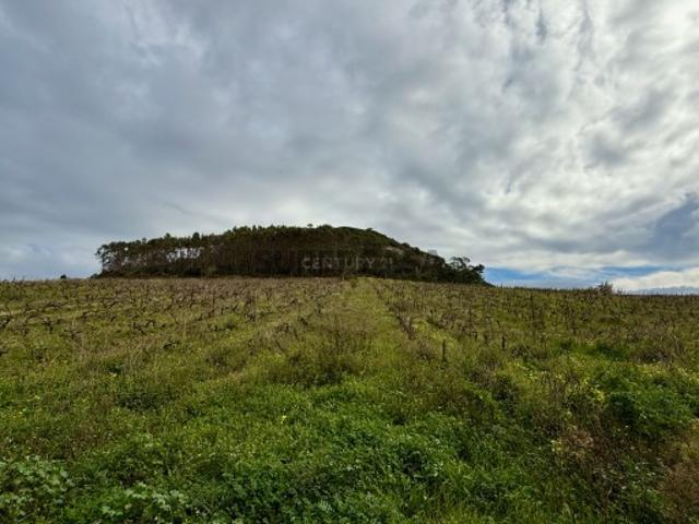 Terreno venda em Torres Vedras, Lisboa