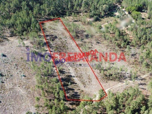 Terreno venda em Ramalheira, Ourém