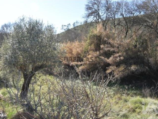 Terreno venda em Ourém, Santarém